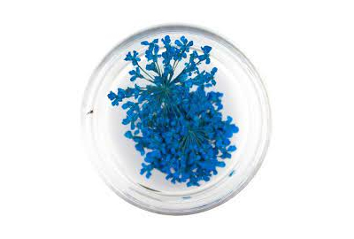 Декор для нігтів Сухоцвіти № 13 синій