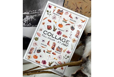 Слайдер дизайн Collage 37 осень, цветы, веточки