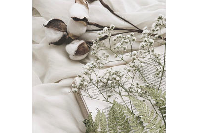 Фотофон 40х40