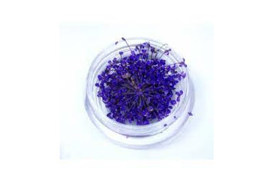 Декор для ногтей Сухоцветы №11 Фиолетовый
