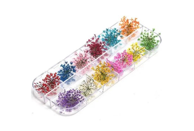 Набор сухоцветов 12 шт