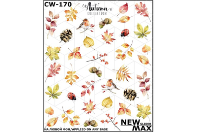 Слайдер дизайн CW 170