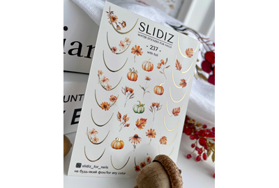 Слайдер дизайн SLIDIZ 237