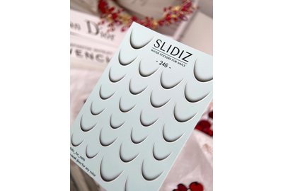 Слайдер дизайн SLIDIZ 246