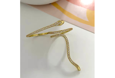 Украшение Змея