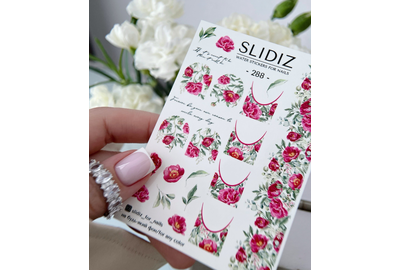 Слайдер дизайн SLIDIZ 288