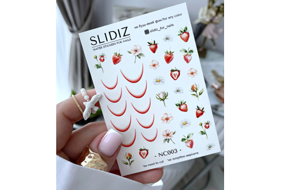 Слайдер дизайн SLIDIZ NC003