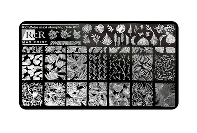 Пластина для стемпинга RichColor Max Print RcR-05