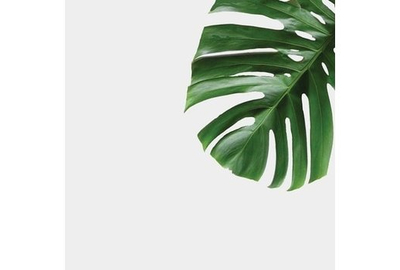 Фотофон 40х40