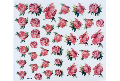 Слайдер дизайн TSE 31