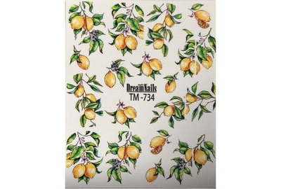 Слайдер дизайн TM 734