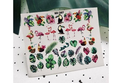 Слайдер дизайн SD 267