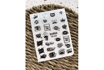 Слайдер дизайн TM 829 Silver