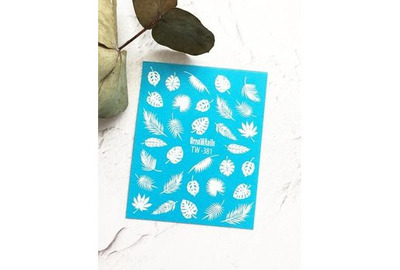 Слайдер дизайн TW 381