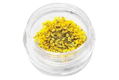 Декор для нігтів Сухоцвіти № 9 Яскраво жовтий, Колір: Жовтий