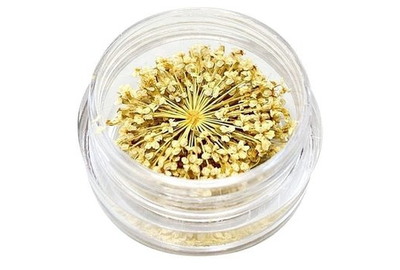 Декор для ногтей Сухоцветы № 4 Молочный, Цвет: Желтый