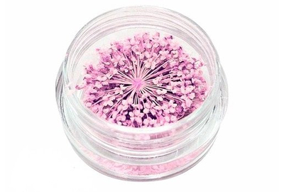Декор для ногтей Сухоцветы №10 Розовый, Цвет: Розовый