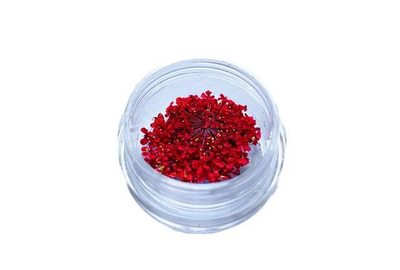 Декор для нігтів Сухоцвіти № 3 Червоний, Колір: Червоний