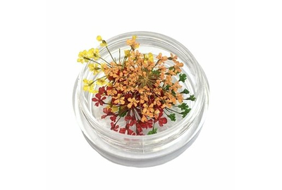 Декор для ногтей сухоцвет микс № 4