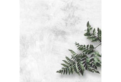 Фотофон 40х40