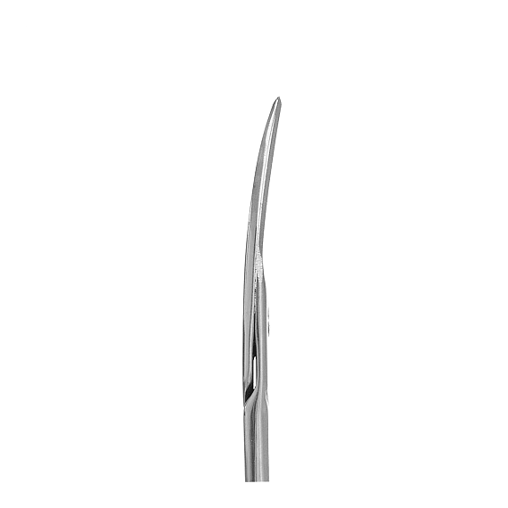 Nail scissors Staleks CLASSIC 62 TYPE 2 24 mm, 2 image