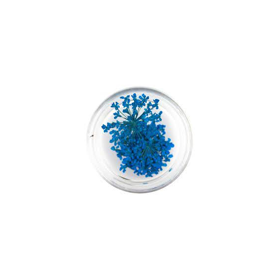 Декор для ногтей Сухоцветы №13 синий