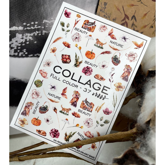 Слайдер дизайн Collage 37 осень, цветы, веточки