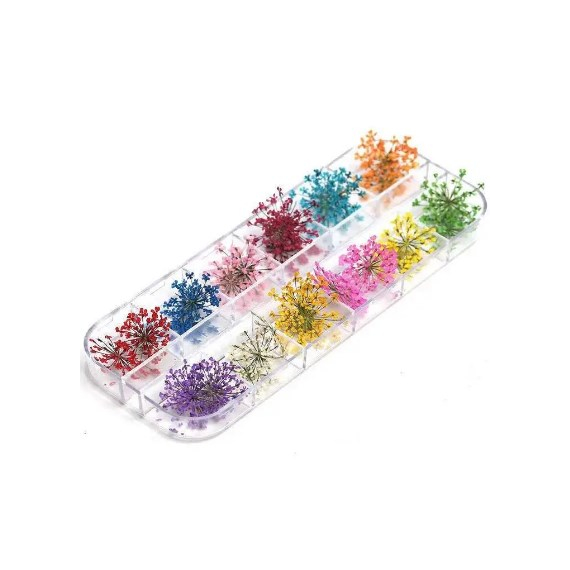 Набор сухоцветов 12 шт