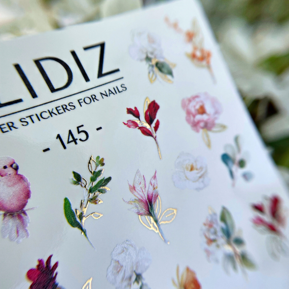 Слайдер дизайн SLIDIZ 145, зображення 2