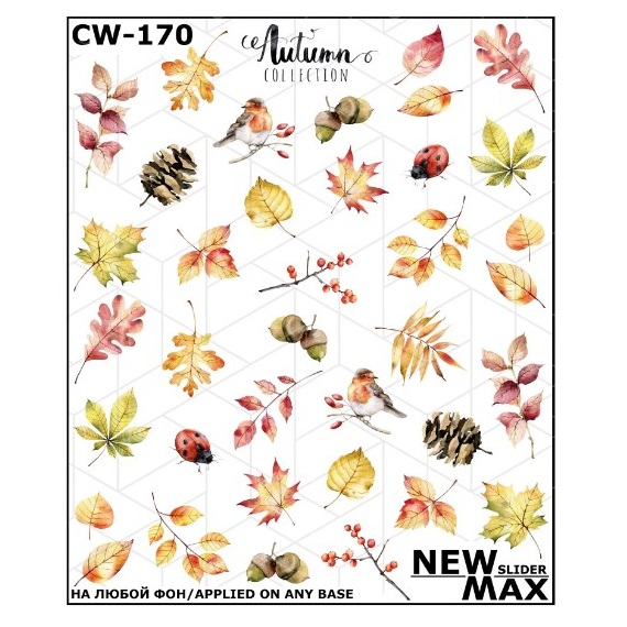 Слайдер дизайн CW 170