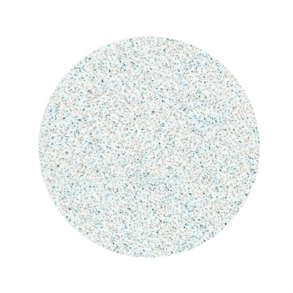 Сменные файлы для педикюрного диска STALEKS PRO L Белые 100 грит, 50 шт, изображение 2