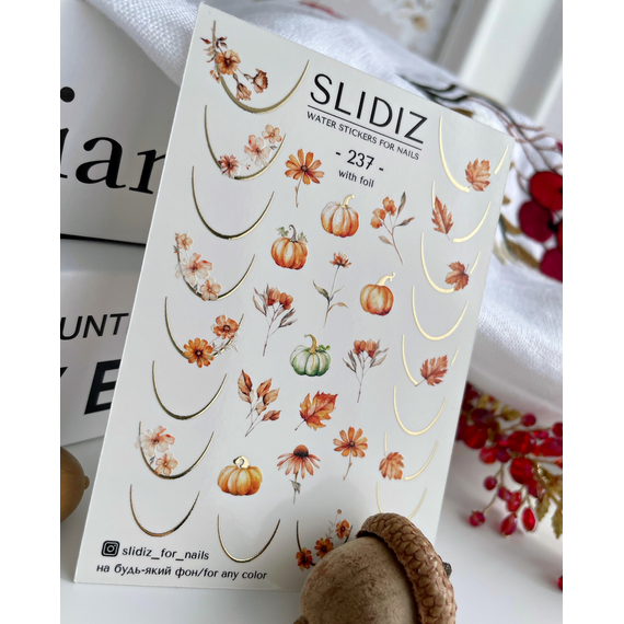 Слайдер дизайн SLIDIZ 237