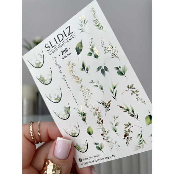 Слайдер дизайн SLIDIZ 289