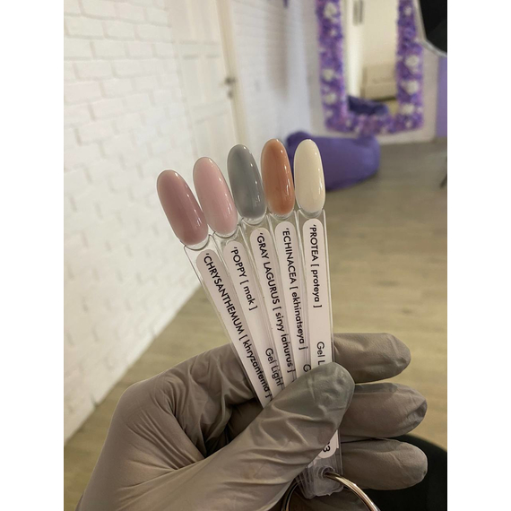 Гель для ногтей DA_23 Light Gel Chrysanthemum, хризантема, 15 мл, изображение 2