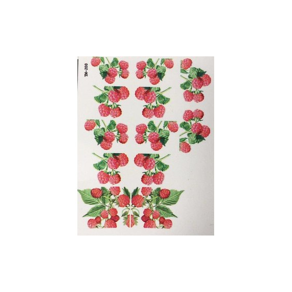 Слайдер дизайн TM 200