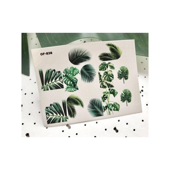 Слайдер дизайн OF 838