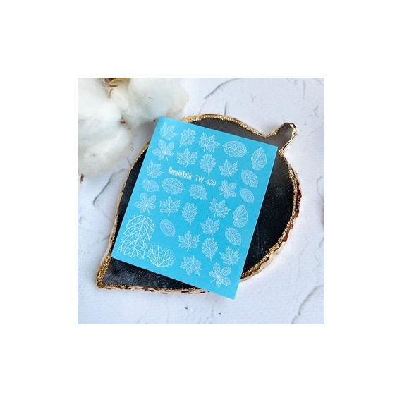 Слайдер дизайн TW 420